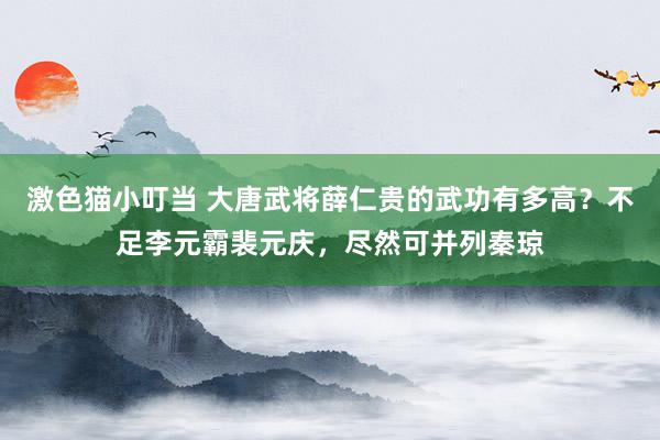 激色猫小叮当 大唐武将薛仁贵的武功有多高？不足李元霸裴元庆，尽然可并列秦琼