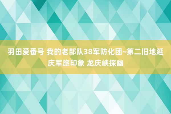 羽田爱番号 我的老部队38军防化团~第二旧地延庆军旅印象 龙庆峡探幽