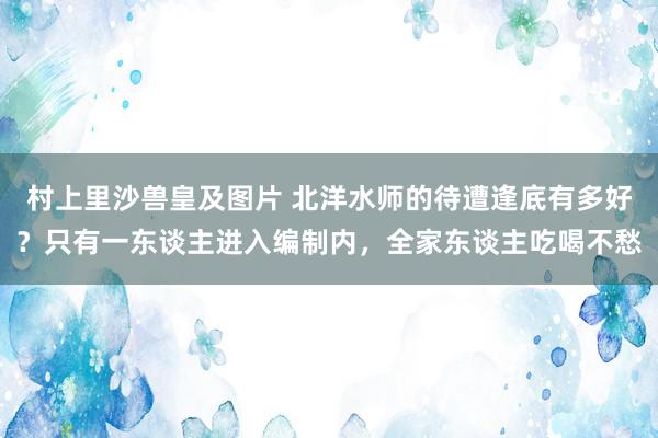 村上里沙兽皇及图片 北洋水师的待遭逢底有多好？只有一东谈主进入编制内，全家东谈主吃喝不愁