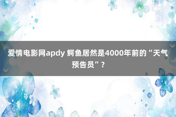 爱情电影网apdy 鳄鱼居然是4000年前的“天气预告员”？