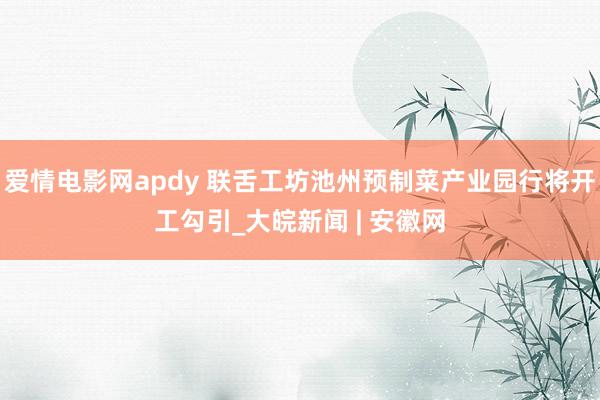 爱情电影网apdy 联舌工坊池州预制菜产业园行将开工勾引_大皖新闻 | 安徽网