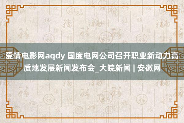 爱情电影网aqdy 国度电网公司召开职业新动力高质地发展新闻发布会_大皖新闻 | 安徽网