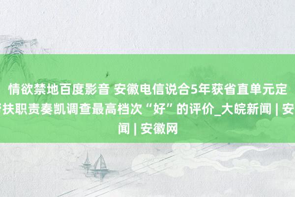 情欲禁地百度影音 安徽电信说合5年获省直单元定点帮扶职责奏凯调查最高档次“好”的评价_大皖新闻 | 安徽网