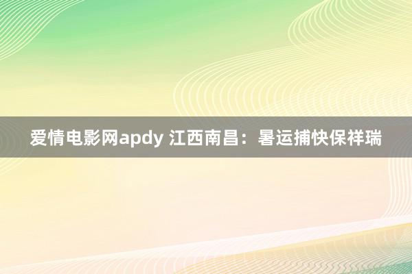 爱情电影网apdy 江西南昌：暑运捕快保祥瑞