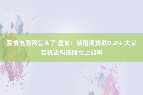 爱情电影网怎么了 盘前：谈指期货跌0.2% 大家宕机让科技股雪上加霜