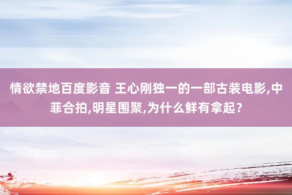 情欲禁地百度影音 王心刚独一的一部古装电影,中菲合拍,明星围聚,为什么鲜有拿起？