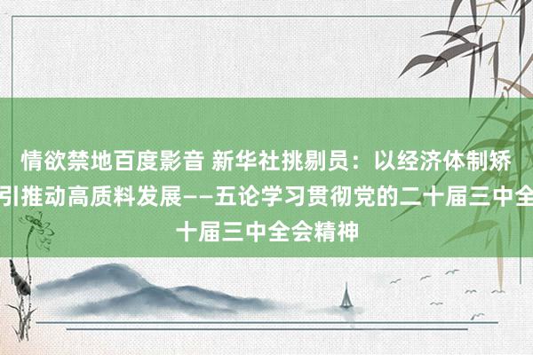 情欲禁地百度影音 新华社挑剔员：以经济体制矫正为牵引推动高质料发展——五论学习贯彻党的二十届三中全会精神