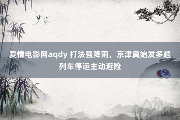 爱情电影网aqdy 打法强降雨，京津冀始发多趟列车停运主动避险