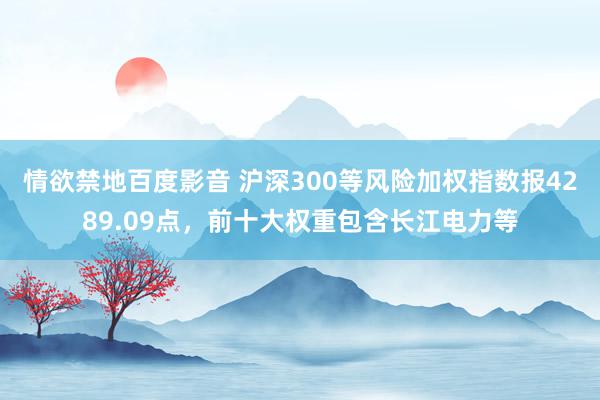 情欲禁地百度影音 沪深300等风险加权指数报4289.09点，前十大权重包含长江电力等