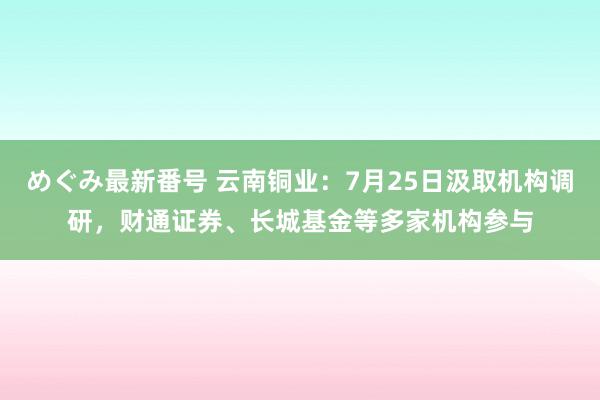 めぐみ最新番号 云南铜业：7月25日汲取机构调研，财通证券、长城基金等多家机构参与