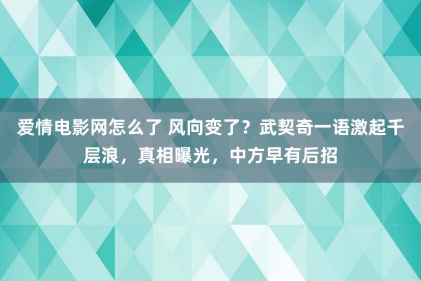 爱情电影网怎么了 风向变了？武契奇一语激起千层浪，真相曝光，中方早有后招