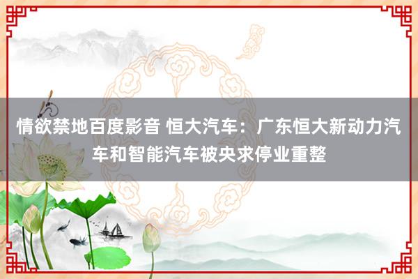 情欲禁地百度影音 恒大汽车：广东恒大新动力汽车和智能汽车被央求停业重整