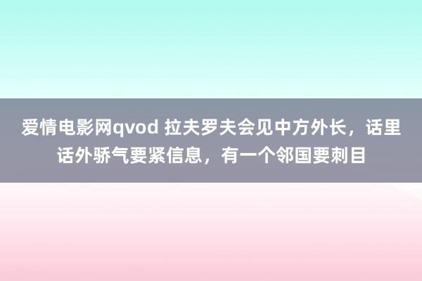 爱情电影网qvod 拉夫罗夫会见中方外长，话里话外骄气要紧信息，有一个邻国要刺目