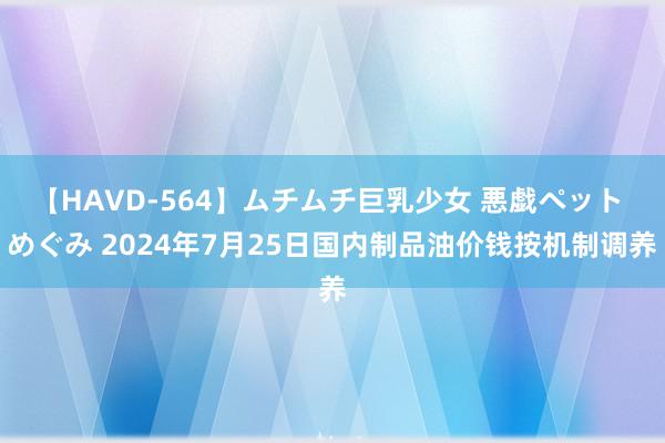 【HAVD-564】ムチムチ巨乳少女 悪戯ペット めぐみ 2024年7月25日国内制品油价钱按机制调养