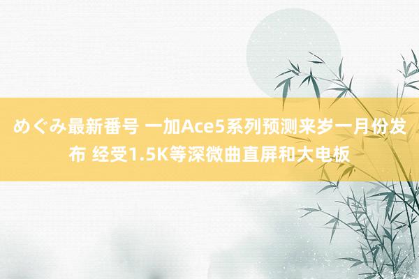 めぐみ最新番号 一加Ace5系列预测来岁一月份发布 经受1.5K等深微曲直屏和大电板