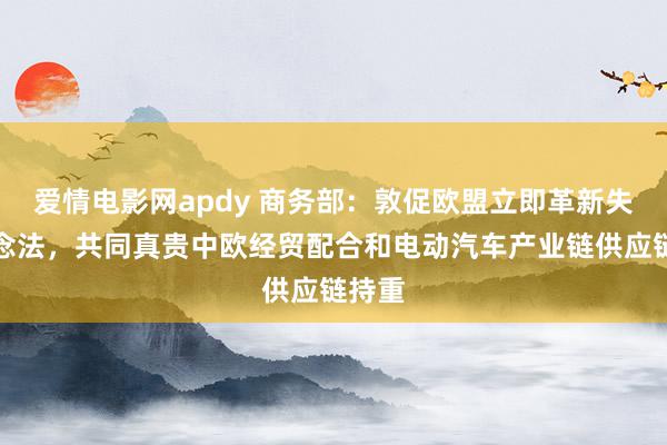 爱情电影网apdy 商务部：敦促欧盟立即革新失实作念法，共同真贵中欧经贸配合和电动汽车产业链供应链持重