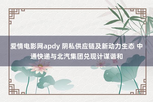 爱情电影网apdy 阴私供应链及新动力生态 中通快递与北汽集团兑现计谋谐和