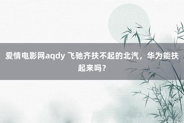 爱情电影网aqdy 飞驰齐扶不起的北汽，华为能扶起来吗？