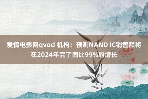 爱情电影网qvod 机构：预测NAND IC销售额将在2024年完了同比99%的增长