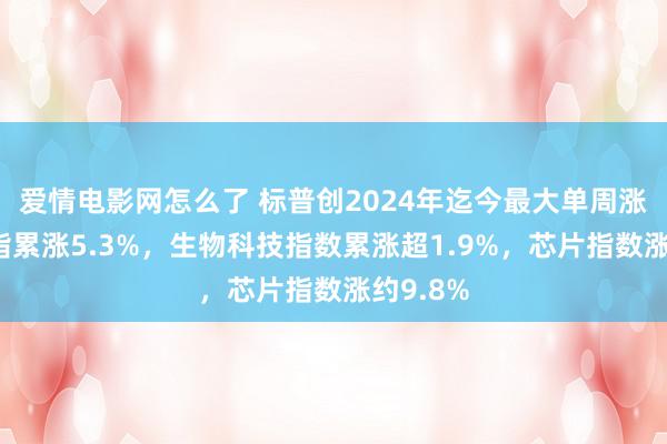 爱情电影网怎么了 标普创2024年迄今最大单周涨幅，纳指累涨5.3%，生物科技指数累涨超1.9%，芯片指数涨约9.8%