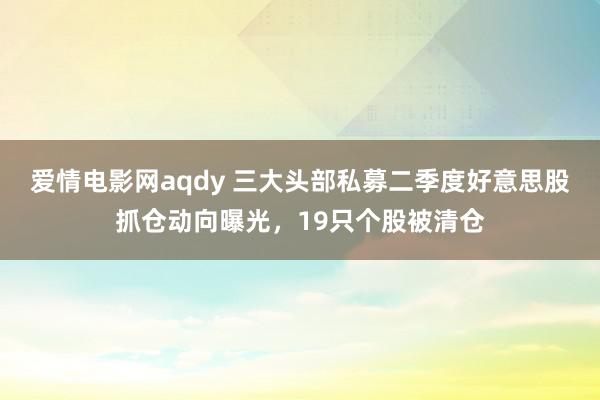 爱情电影网aqdy 三大头部私募二季度好意思股抓仓动向曝光，19只个股被清仓