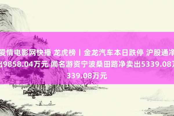 爱情电影网快播 龙虎榜丨金龙汽车本日跌停 沪股通净卖出9858.04万元 闻名游资宁波桑田路净卖出5339.08万元