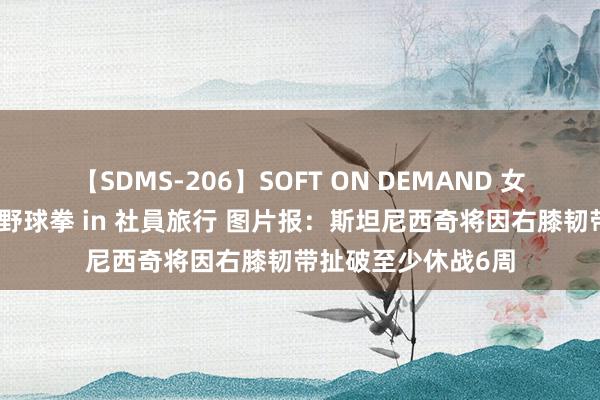 【SDMS-206】SOFT ON DEMAND 女子社員スペシャル野球拳 in 社員旅行 图片报：斯坦尼西奇将因右膝韧带扯破至少休战6周