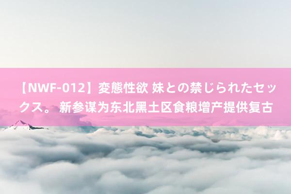 【NWF-012】変態性欲 妹との禁じられたセックス。 新参谋为东北黑土区食粮增产提供复古