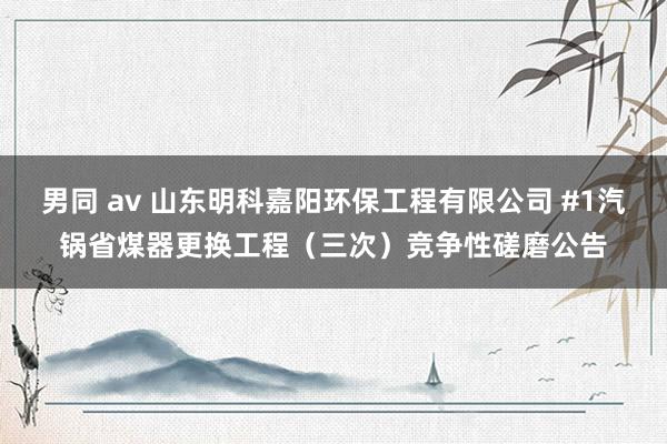 男同 av 山东明科嘉阳环保工程有限公司 #1汽锅省煤器更换工程（三次）竞争性磋磨公告