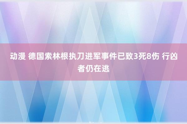 动漫 德国索林根执刀进军事件已致3死8伤 行凶者仍在逃