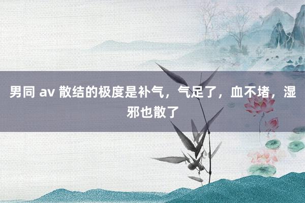 男同 av 散结的极度是补气，气足了，血不堵，湿邪也散了